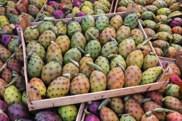 6-awesome-things-about-prickly-pears-that-explain-why-you-should-eat