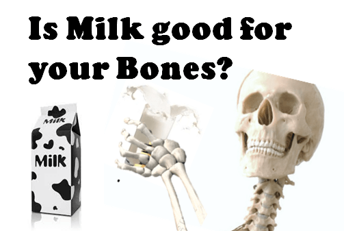 10 Horrifying Facts About How Drinking Cow's Milk Can Destroy Your ...